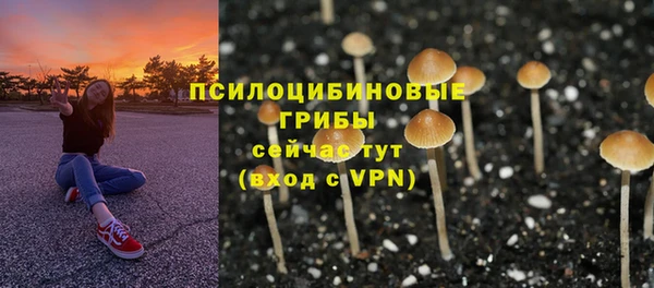 дживик Нязепетровск